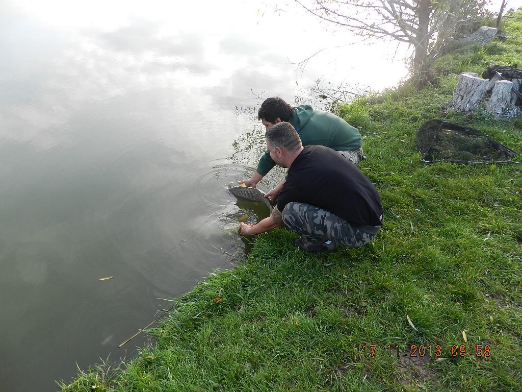 15 noiembrie 2013 - dscn1821.JPG